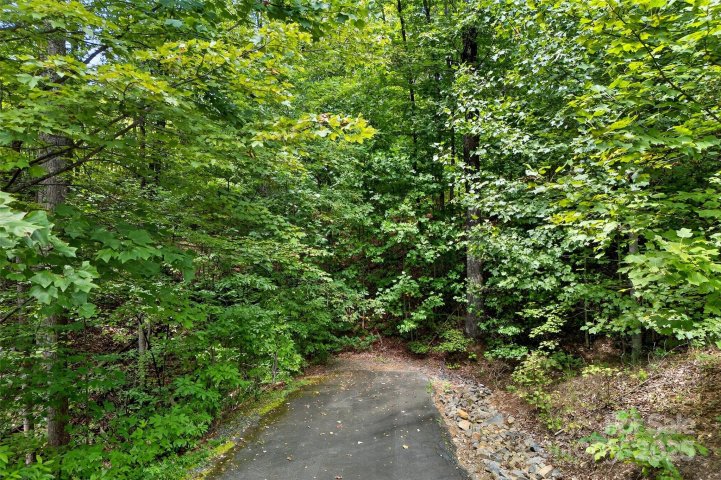 100 Comet Falls Trail 235 active home in Catawba Falls Preserve, Black Mountain, NC