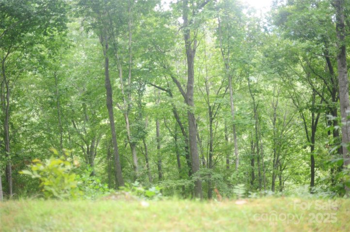 9 Wood Haven Lane 108 active home in Laurel Ridge, Black Mountain, NC