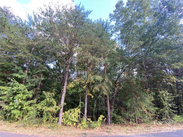 Homes in Deerfield, Hickory