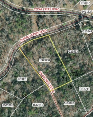 0 Buffalo Creek Road 74 active home in Riverbend Highlands, Lake Lure, NC