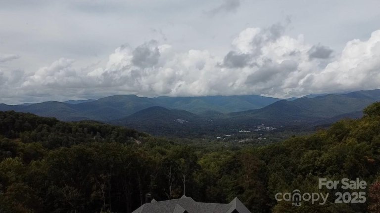 97 Settings Boulevard active home in The Settings Of Black Mountain, Black Mountain, NC