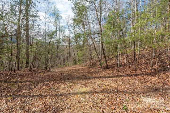 Homes in Three Creeks, Lake Lure