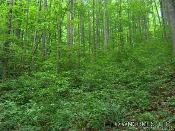 00 Skyline Drive sold home in Eagles Nest Mountain, Waynesville, NC