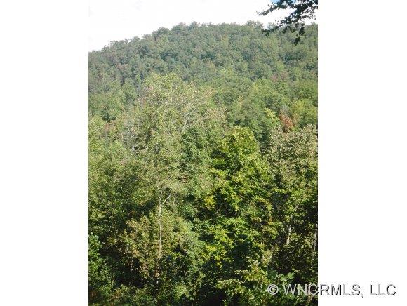 Lot 139 Wildlfower sold home in Wildflower, Franklin, NC