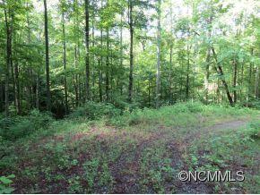 Lot 110 Penrose Court sold home in Wildflower, Franklin, NC