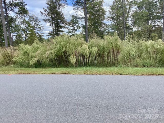 1818 Jumping Run active home in Lakeside Reserve, Connelly Springs, NC