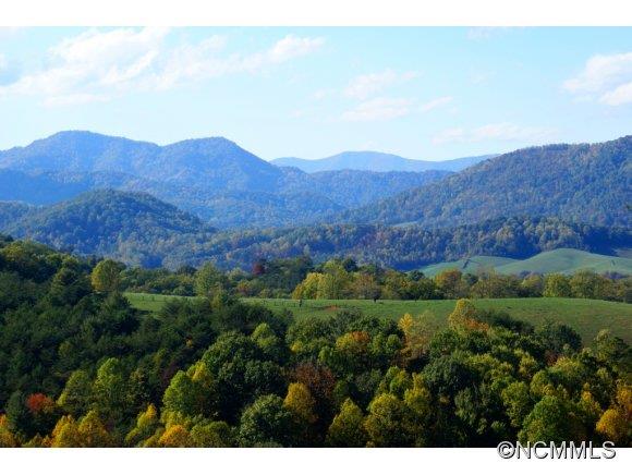 Lot 14 Phase 2 Moores Valley sold home in Moores Valley, Leicester, NC