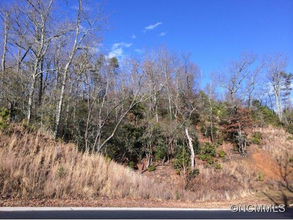 0 Watershed Way 130 sold home in Homestead at Mills River, Mills River, NC