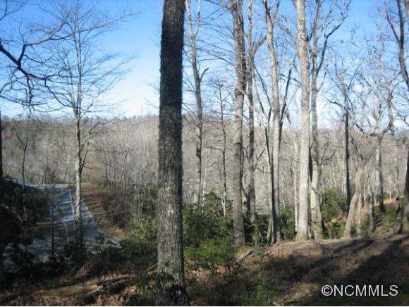 45 S Running Deer Trl Lot 81 81R sold home in Homestead at Mills River, Mills River, NC