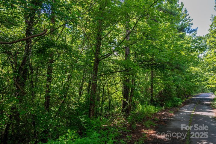 Lot 31 Line Drive active home in White Oak, Forest City, NC