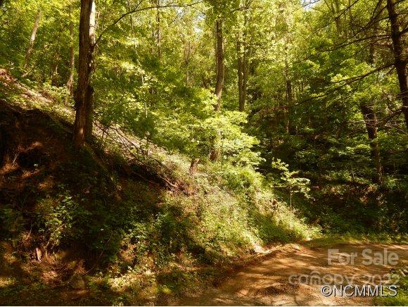 00 Vireo Lane sold home in Heaths Peak, Waynesville, NC
