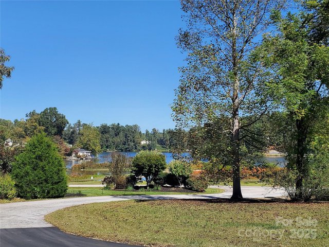 Homes in Leonis Mountain Lake Homes, Hendersonville