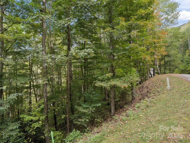 0 Macallan Drive active home in Highland Forest, Waynesville, NC