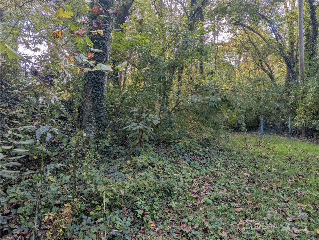 99999 Taft Avenue sold home in Roosevelt Park, Asheville, NC
