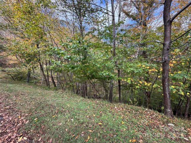 92 Goldenleaf Drive active home in Wolf Laurel, Mars Hill, NC