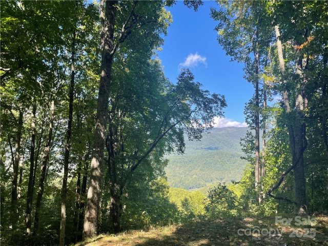 768 Boar Ridge Road active home in Balsam Mountain Preserve, Sylva, NC