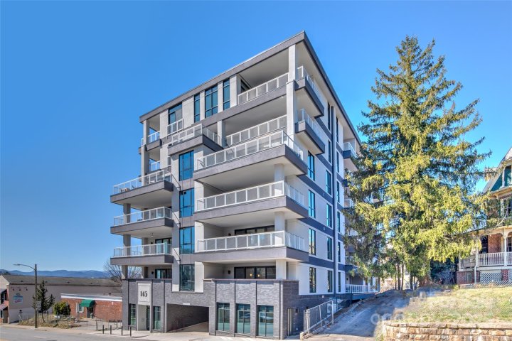 Homes in 145 Biltmore Avenue Condominiums, Asheville