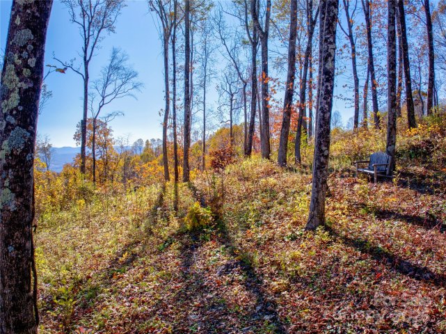 7 Laurel Ledge Way 13 active home in Couch Mountain, Fletcher, NC