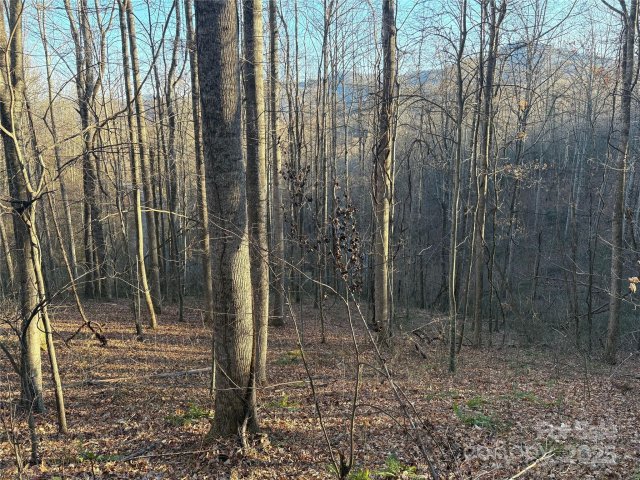 Homes in Mountain Watch, Waynesville