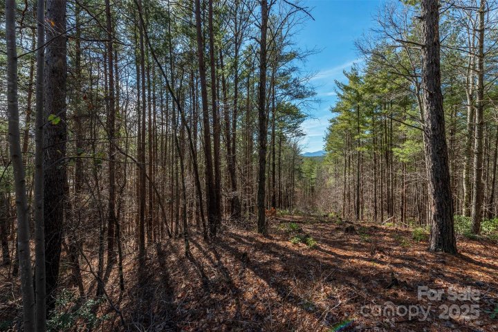 1683 Pisgah Preserve Drive sold home in Pisgah Preserve, Nebo, NC