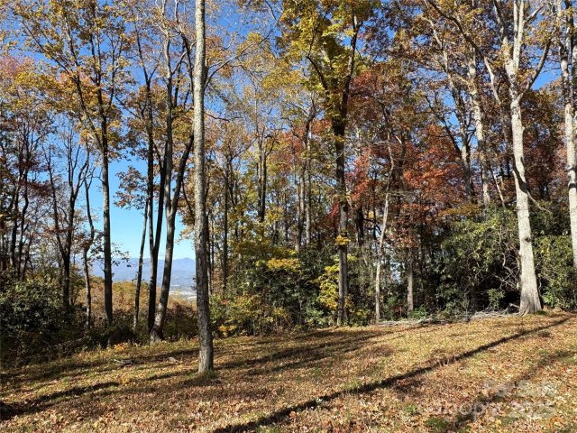 45 Trillium Garden Trail pending home in Couch Mountain, Fletcher, NC