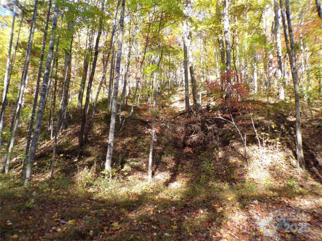 0 High Windy Drive Lot 388 sold home in Grey Rock at Lake Lure, Lake Lure, NC