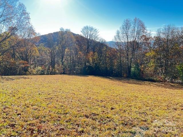 Lot 117 Autumn Sky Drive active home in Grand Highlands at Bearwallow, Hendersonville, NC