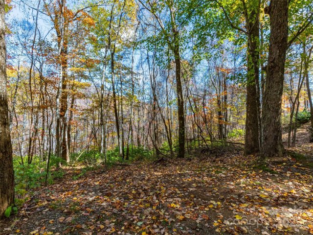 00 Village Lane sold home in Villages Of Plott Creek, Waynesville, NC