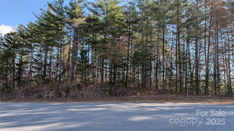 1111 Table View Drive active home in Old Oaks Estates, Morganton, NC