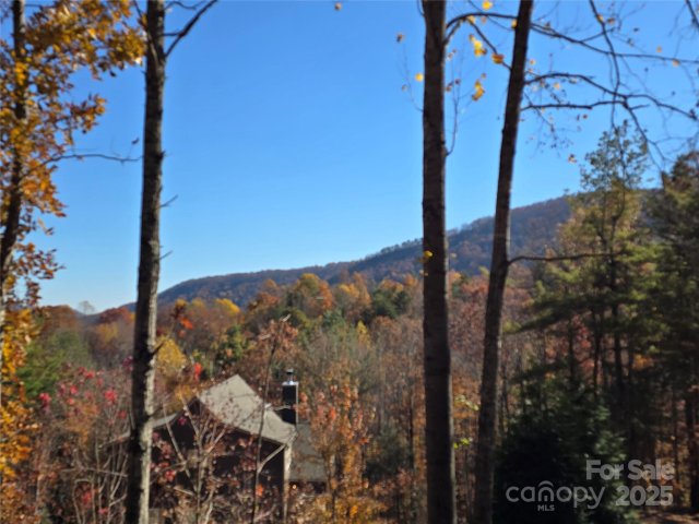 295 S Feather Falls Trail 50 active home in Catawba Falls Preserve, Black Mountain, NC