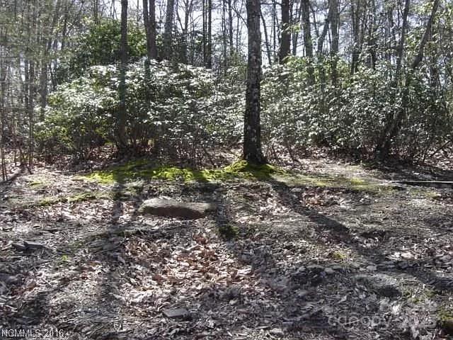 91 Old Forge Drive active home in The Summit, Bostic, NC