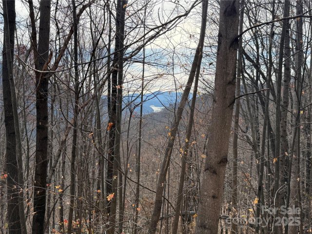 Lot 375 Rolling Ridge Trail active home in Grey Rock At Lake Lure, Lake Lure, NC
