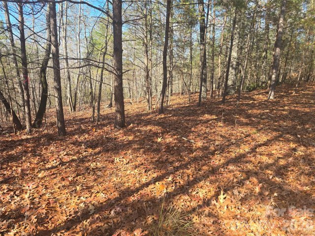 Lot 60 Lake Adger Parkway active home in Lake Adger, Mill Spring, NC