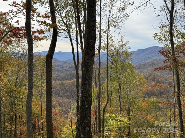 223 Flying Dutchman Road active home in Balsam Mountain Preserve, Sylva, NC