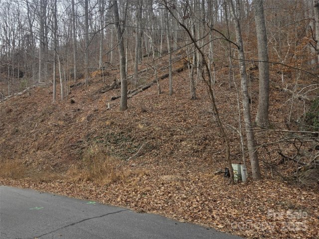 9999 E Sondley Drive 81 sold home in Sondley Estates, Asheville, NC