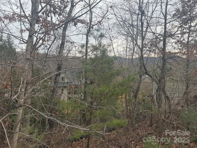 51 Versailles Lane sold home in Thoms Estate, Asheville, NC
