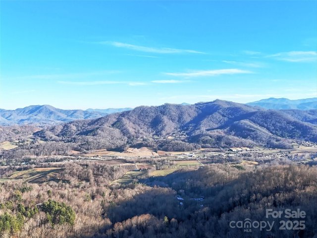 Homes in Heaths Peak, Waynesville