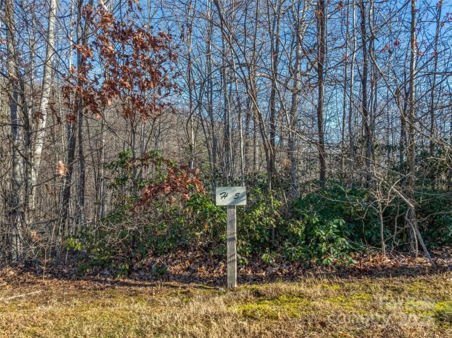 211 Ladys Fern Trail active home in Somersby Park, Laurel Park, NC