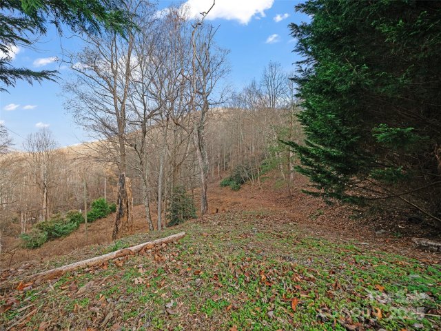 Homes in Rosy Hills, Asheville