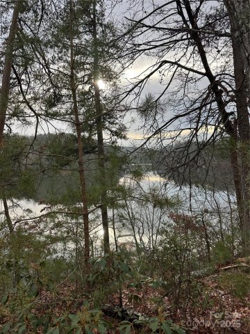 00 Jackson Cove Road active home in Lake Adger, Mill Spring, NC