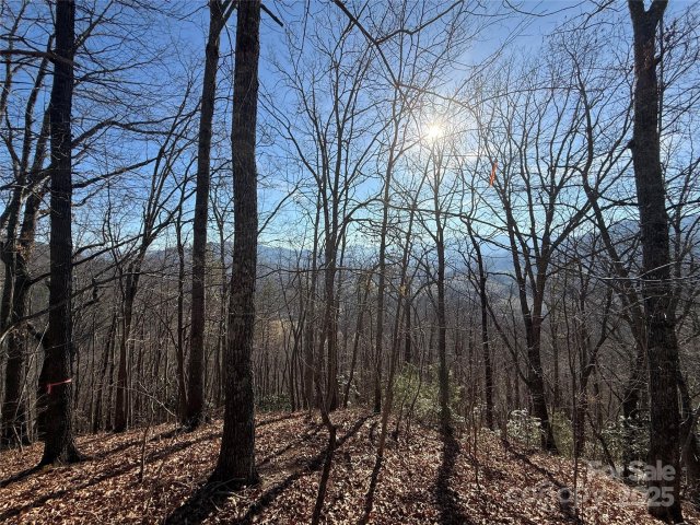 Lot 13 Peter Rabbit Lane active home in Rabbits Ridge, Waynesville, NC