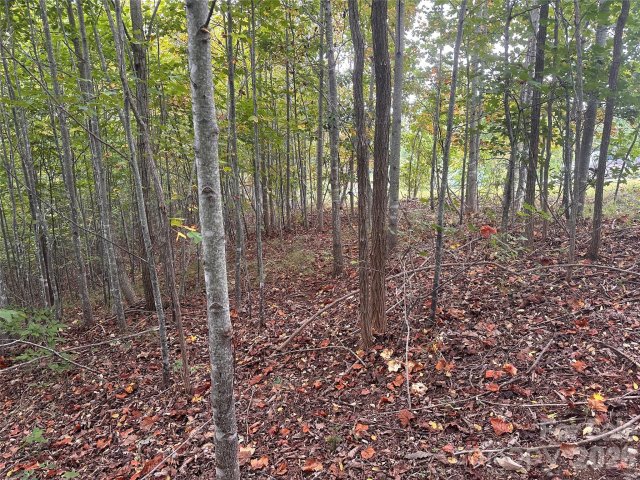 311 Scenic Vista Drive 254 active home in Grandview Peaks, Nebo, NC