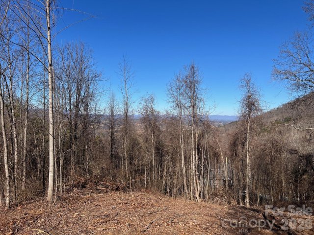 99999 Farm Cove Lane 10 sold home in Blue Mist Farms, Leicester, NC