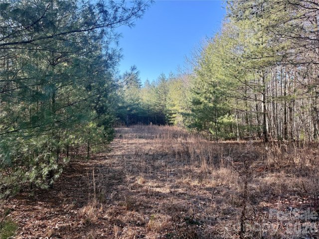 2095 Hitching Post Trail G45 active home in The Coves Mountain River Club, Lenoir, NC
