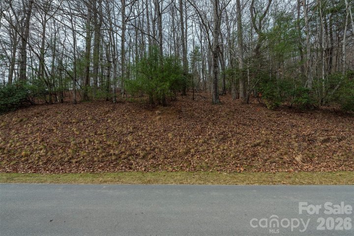 24 Falls Lane 391 active home in Champion Hills, Hendersonville, NC