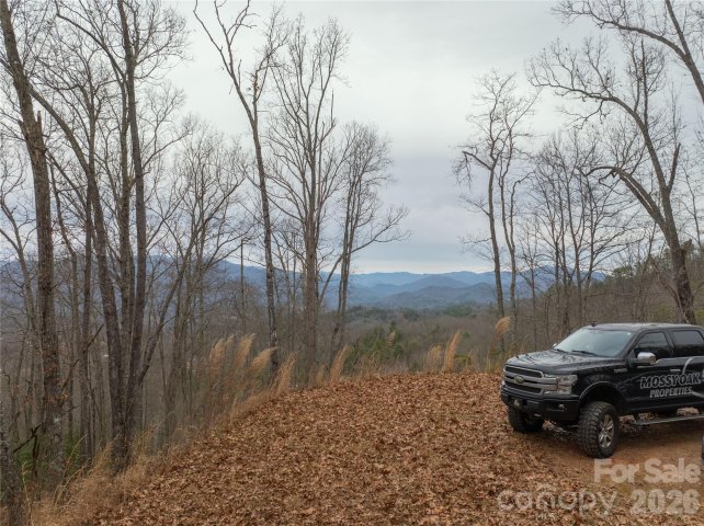 Homes in Bryson Gap Preserve, Bryson City