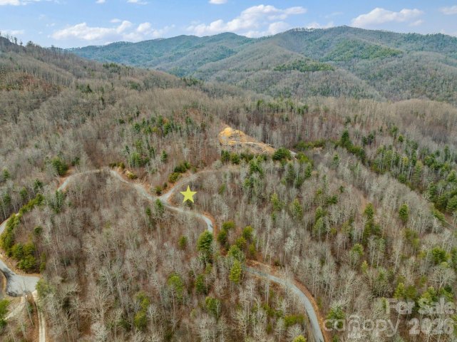 400 Pine Cone Trail 20 active home in Firefly Mountain, Marshall, NC