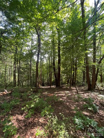 Lot 21 Haverhill Court active home in Kenmure, Flat Rock, NC