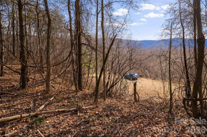 Homes in Cataloochee Ranch Estates, Waynesville