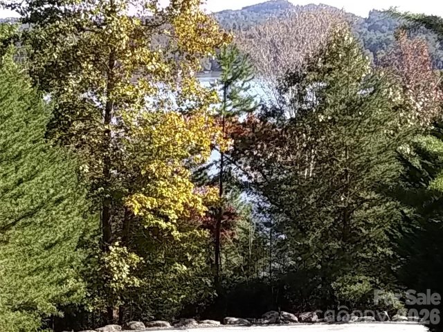 0 Hilltop None pending home in Lake Lure Village Resort, Lake Lure, NC